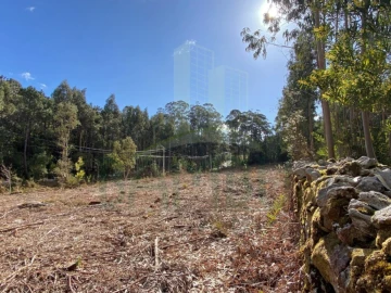 Terreno para Venda em Caminha (Matriz) e Vilarelho