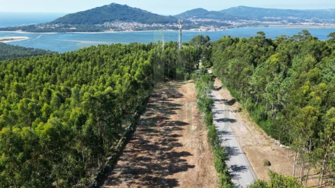 Terreno para Venda em Caminha (Matriz) e Vilarelho
