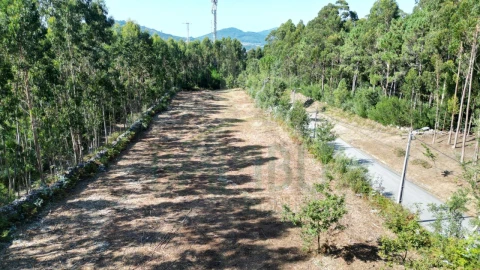 Terreno para Venda em Caminha (Matriz) e Vilarelho