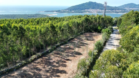 Terreno para Venda em Caminha (Matriz) e Vilarelho