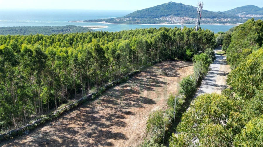 Terreno para Venda em Caminha (Matriz) e Vilarelho
