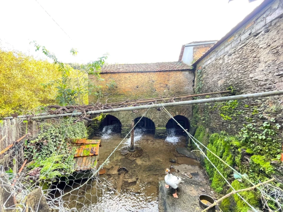 Quinta T1 para Venda em Angeja Foto 1