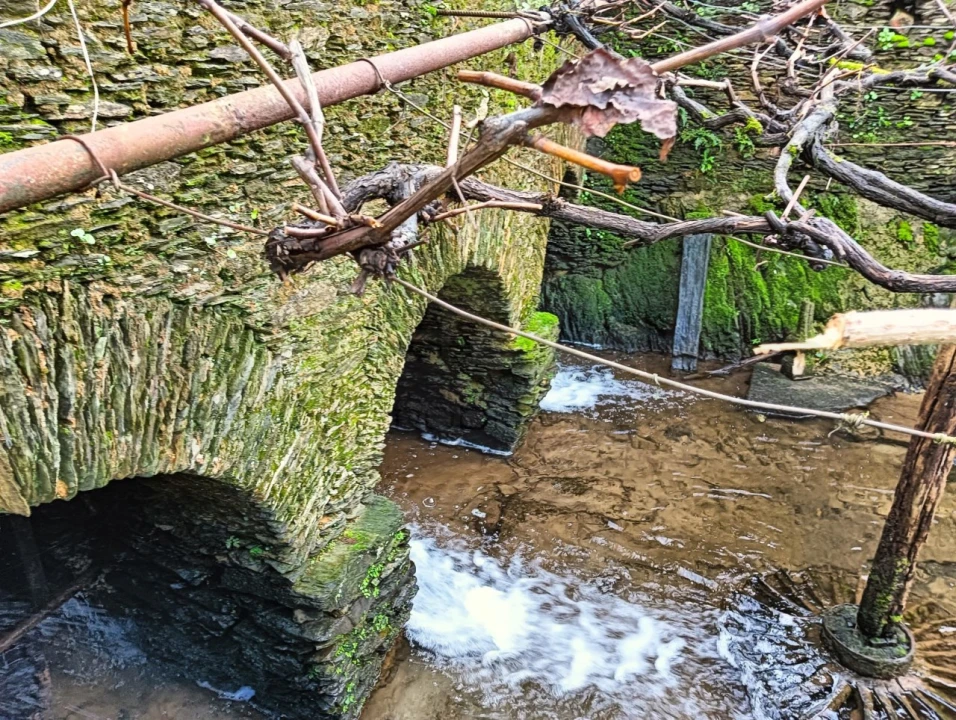 Quinta T1 para Venda em Angeja Foto 3