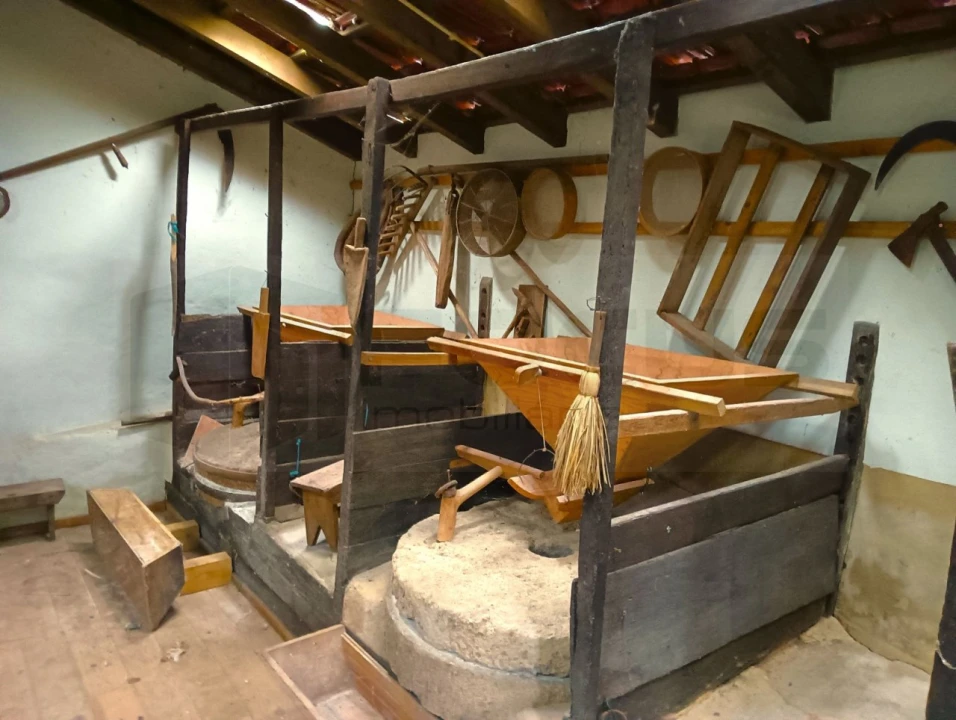 Quinta T1 para Venda em Angeja Foto 5