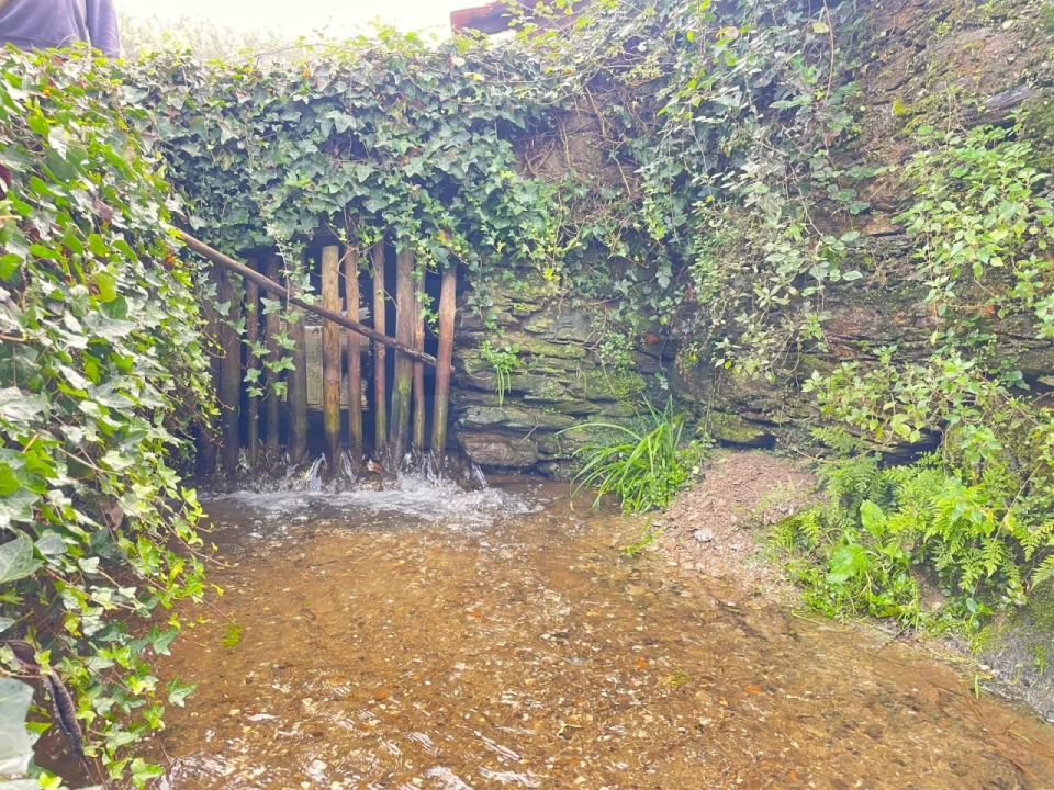 Quinta T1 para Venda em Angeja Foto 27