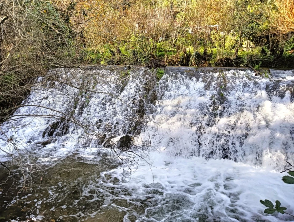 Quinta T1 para Venda em Angeja Foto 29