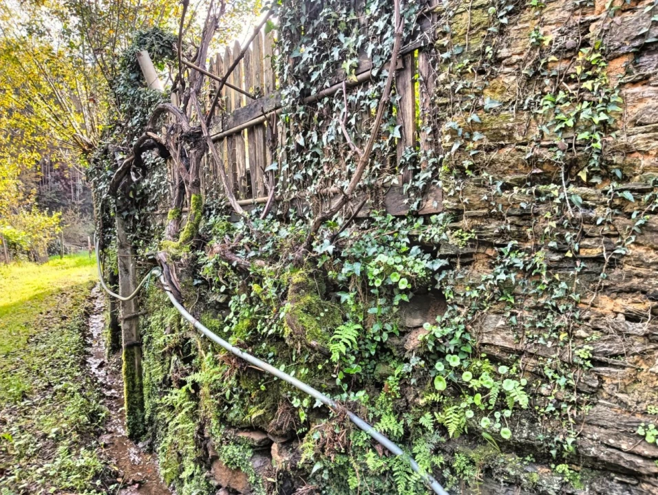 Quinta T1 para Venda em Angeja Foto 41