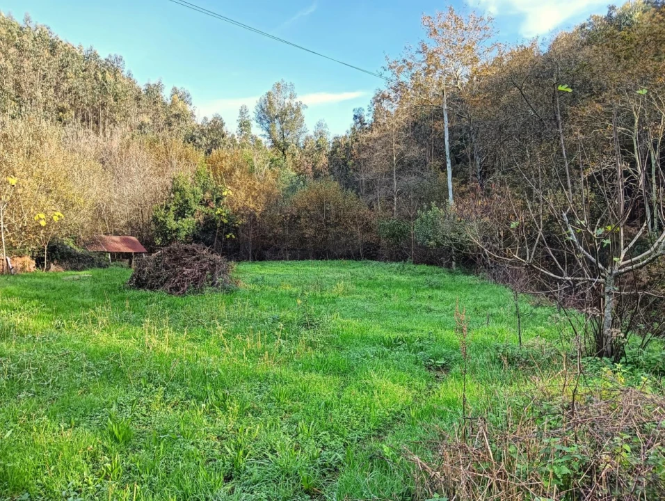 Quinta T1 para Venda em Angeja Foto 42