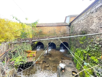 Quinta T1 para Venda em Angeja