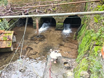 Quinta T1 para Venda em Angeja