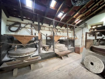 Quinta T1 para Venda em Angeja