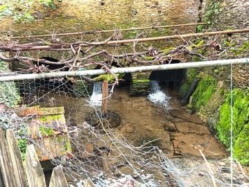 Quinta T1 para Venda em Angeja