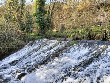 Quinta T1 para Venda em Angeja