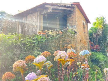 Quinta T1 para Venda em Angeja