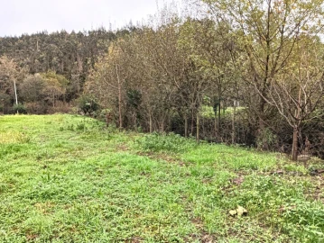 Quinta T1 para Venda em Angeja