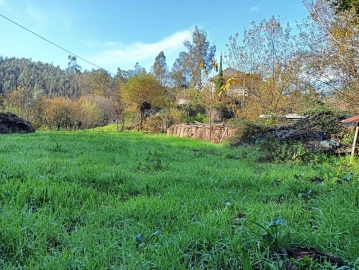Quinta T1 para Venda em Angeja