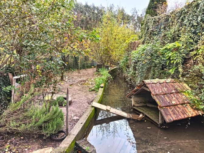 Quinta T1 para Venda em Angeja Foto 28