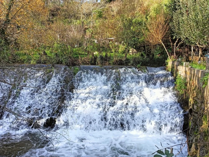 Quinta T1 para Venda em Angeja Foto 30