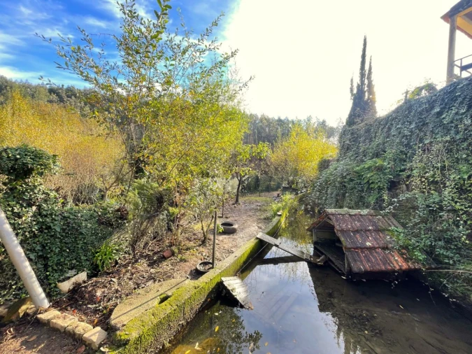 Quinta T1 para Venda em Angeja Foto 32