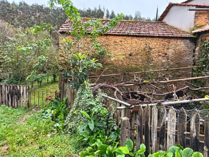 Quinta T1 para Venda em Angeja Foto 40