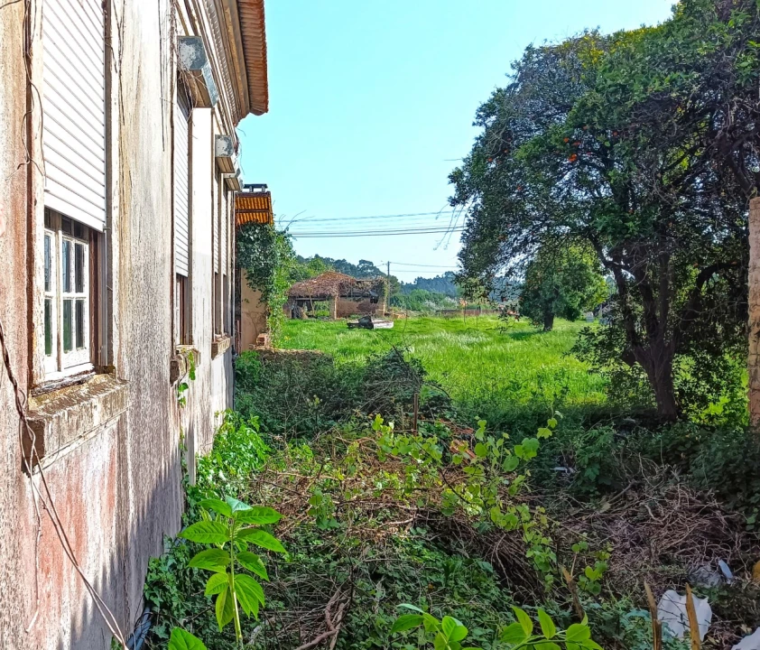 Moradia T4 para Venda em Aguada de Cima Foto 29