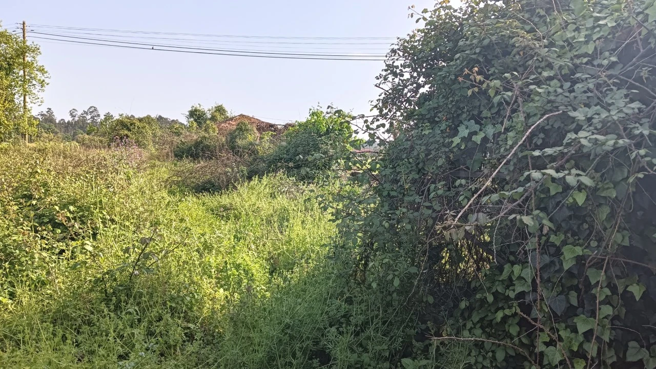 Moradia T4 para Venda em Aguada de Cima Foto 31