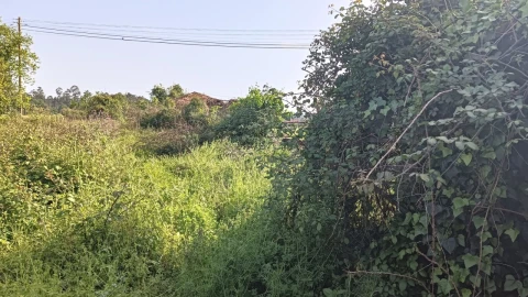 Moradia T4 para Venda em Aguada de Cima