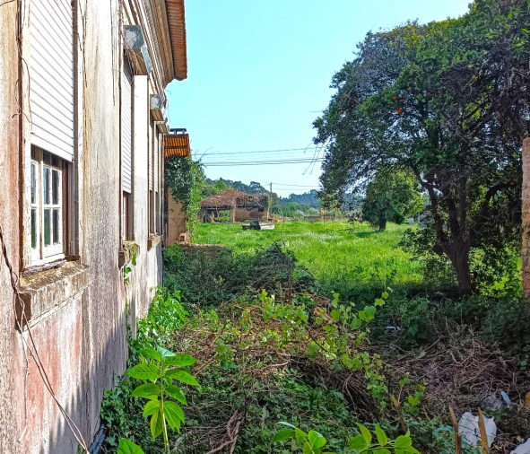 Moradia T4 para Venda em Aguada de Cima Foto 29