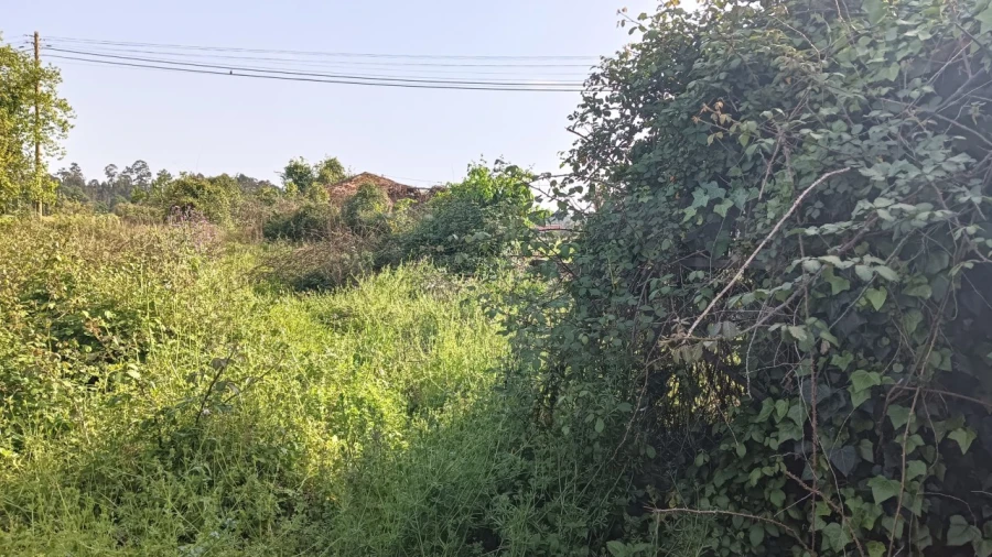 Moradia T4 para Venda em Aguada de Cima Foto 31