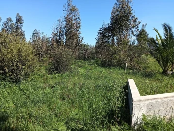 Terreno para Venda em Alquerubim