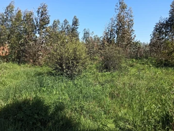 Terreno para Venda em Alquerubim