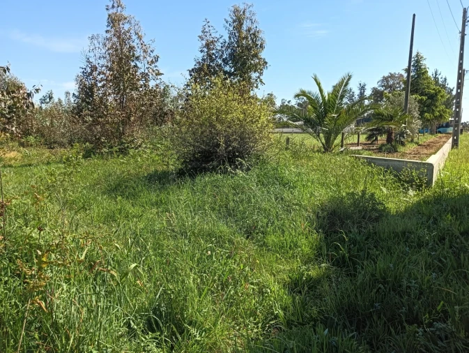 Terreno para Venda em Alquerubim Foto 2