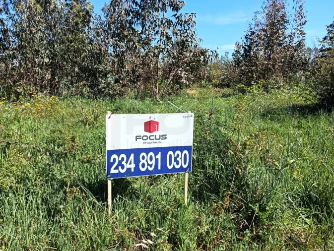 Terreno para Venda em Alquerubim Foto 3