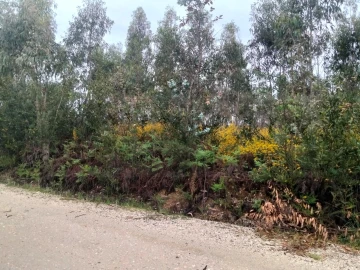 Terreno para Venda em Albergaria-A-Velha e Valmaior