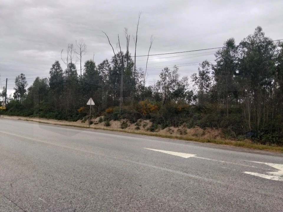 Terreno para Venda em Albergaria-A-Velha e Valmaior Foto 13