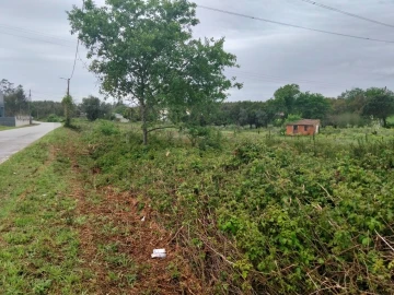 Terreno para Venda em Albergaria-A-Velha e Valmaior