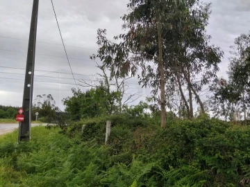 Terreno para Venda em Albergaria-A-Velha e Valmaior
