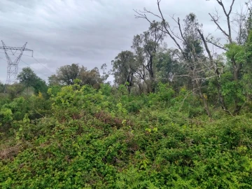 Terreno para Venda em Albergaria-A-Velha e Valmaior