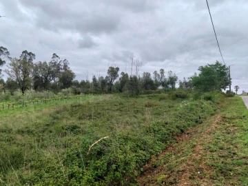 Terreno para Venda em Albergaria-A-Velha e Valmaior