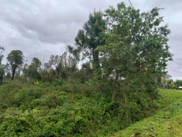 Terreno para Venda em Albergaria-A-Velha e Valmaior