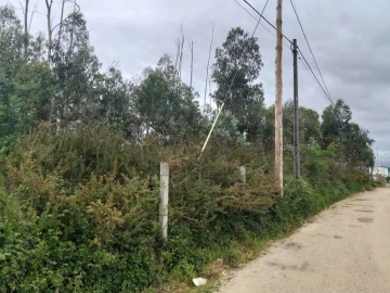 Terreno para Venda em Albergaria-A-Velha e Valmaior