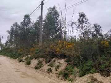Terreno para Venda em Albergaria-A-Velha e Valmaior