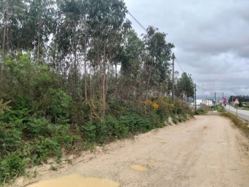 Terreno para Venda em Albergaria-A-Velha e Valmaior