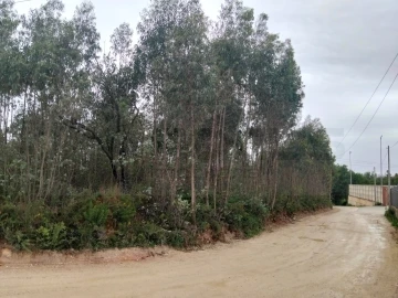 Terreno para Venda em Albergaria-A-Velha e Valmaior