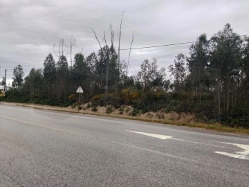 Terreno para Venda em Albergaria-A-Velha e Valmaior