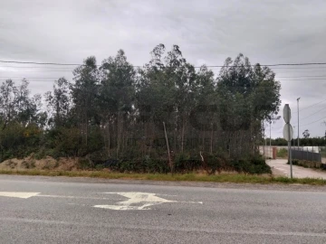 Terreno para Venda em Albergaria-A-Velha e Valmaior