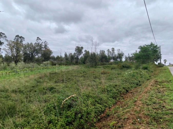 Terreno para Venda em Albergaria-A-Velha e Valmaior Foto 5