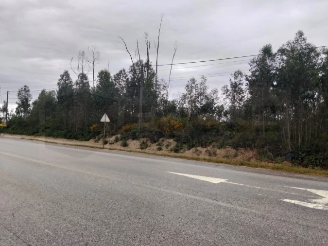 Terreno para Venda em Albergaria-A-Velha e Valmaior Foto 13