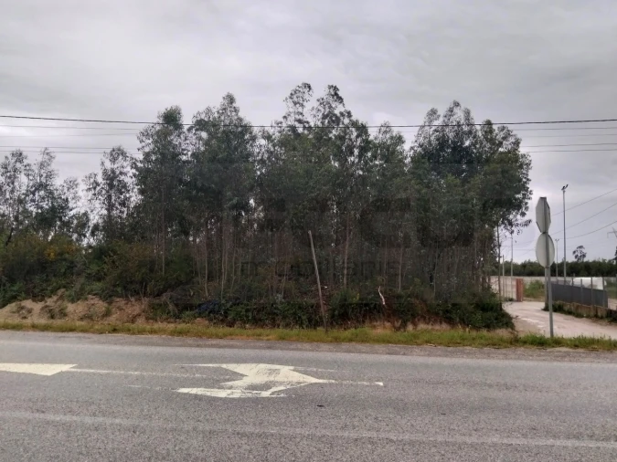 Terreno para Venda em Albergaria-A-Velha e Valmaior Foto 15