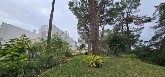 Moradia T2 para Venda em Carvalhal